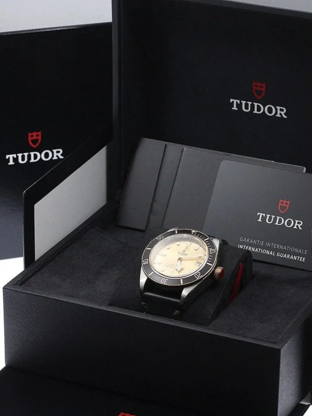 TUDOR Heritage Black Bay 79733N Date gold Dial Automatic Men's Watch_970363